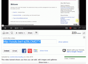 Video share options